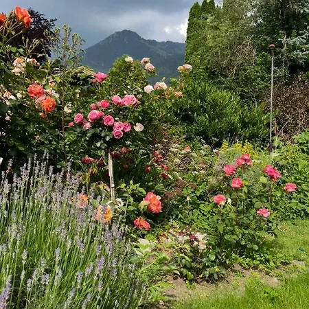 Charmantes Garten-apartment: Erholung Im Chiemgau Apartmán